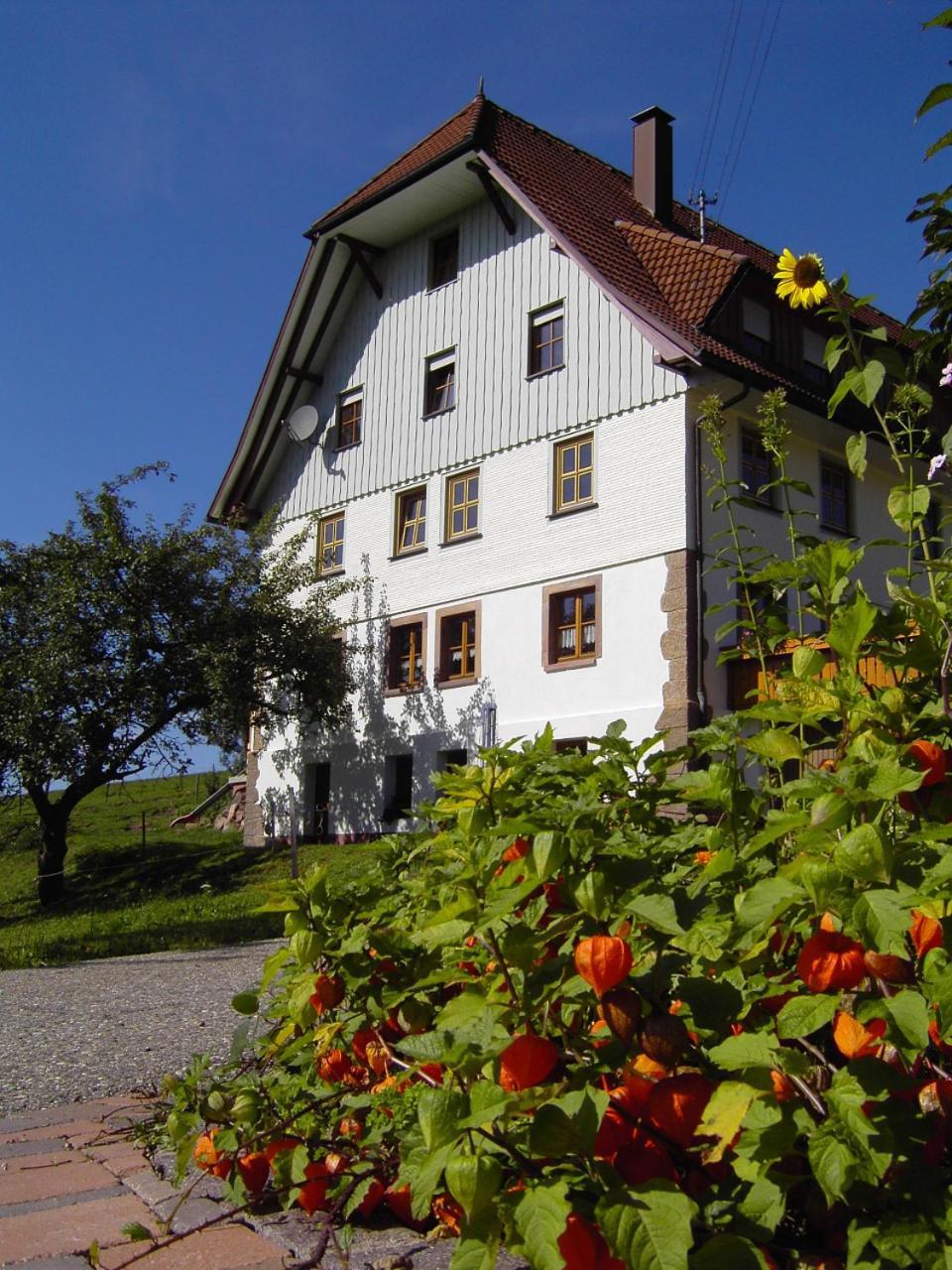 Fehrenbacherhof Naturgaestehaus Lauterbach  Dış mekan fotoğraf