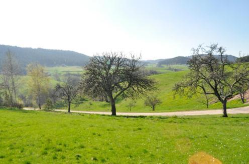 Fehrenbacherhof Naturgaestehaus Lauterbach  Dış mekan fotoğraf